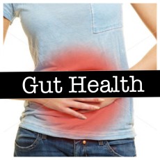 Healthy Gut Support