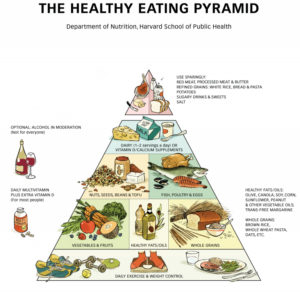 harvard_healthy_eating_pyramid